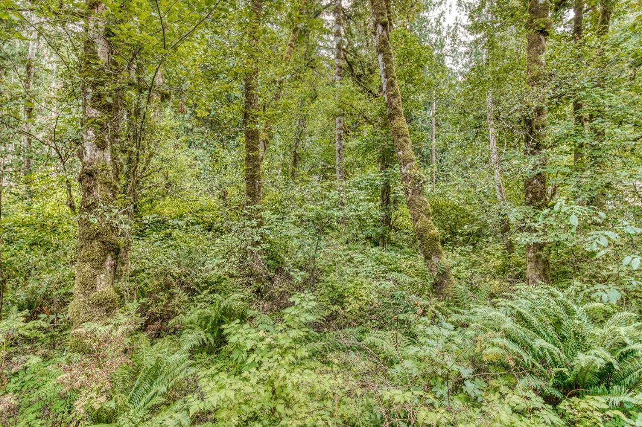 Creekside Cabin Rhododendron Екстер'єр фото